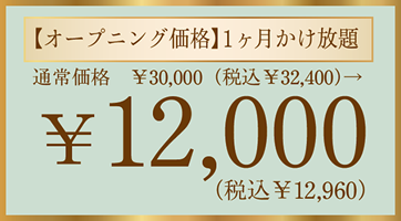オープニング価格¥12,000